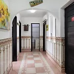 Tigonema *
